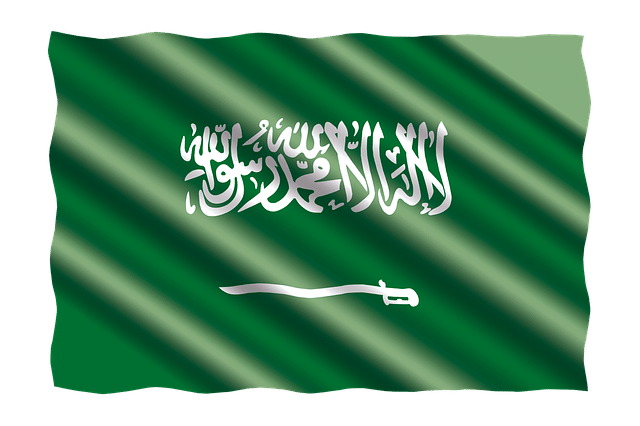 Saudi Visa