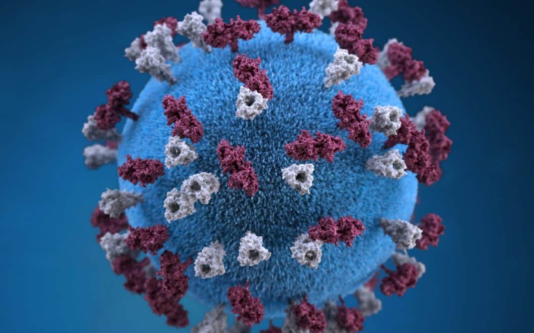 THINGS YOU DIDN’T KNOW ABOUT THE COVID-19 MUTATION