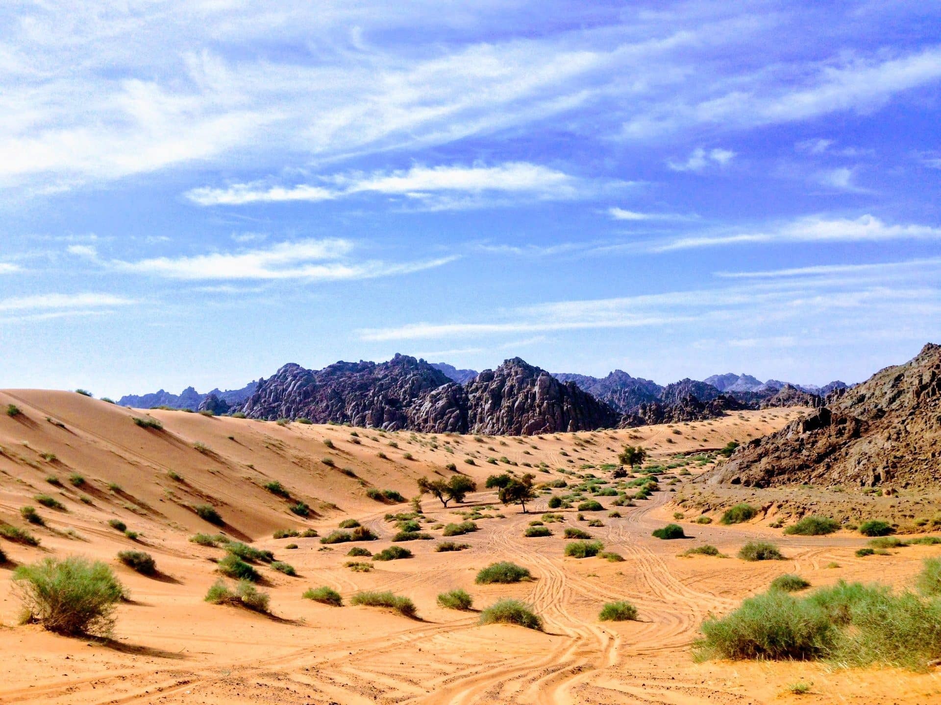 rabah-al-shammary-7vOpzRF33Zo-unsplash