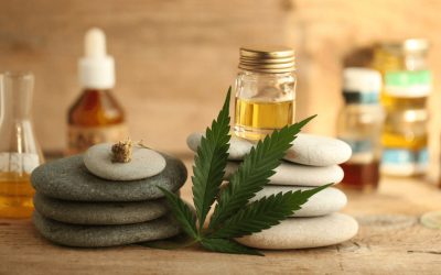 CBD Oil for Menstrual Cramps: Does It Help