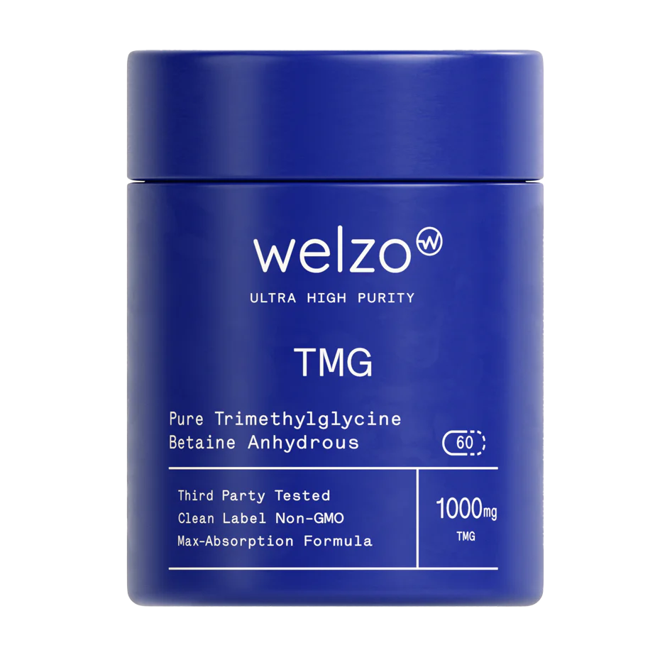 01_TMG (1)
