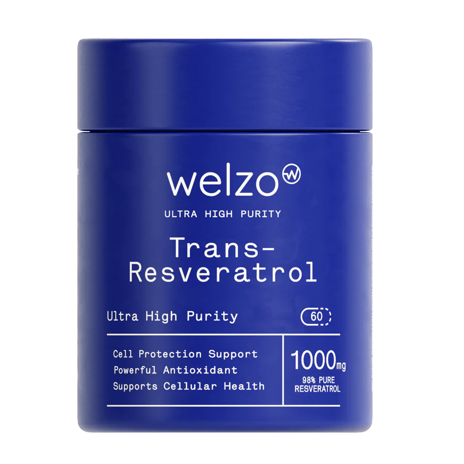 01_Trans